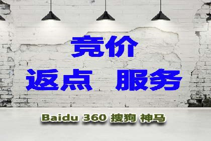 企业SEM托管代运营实战案例